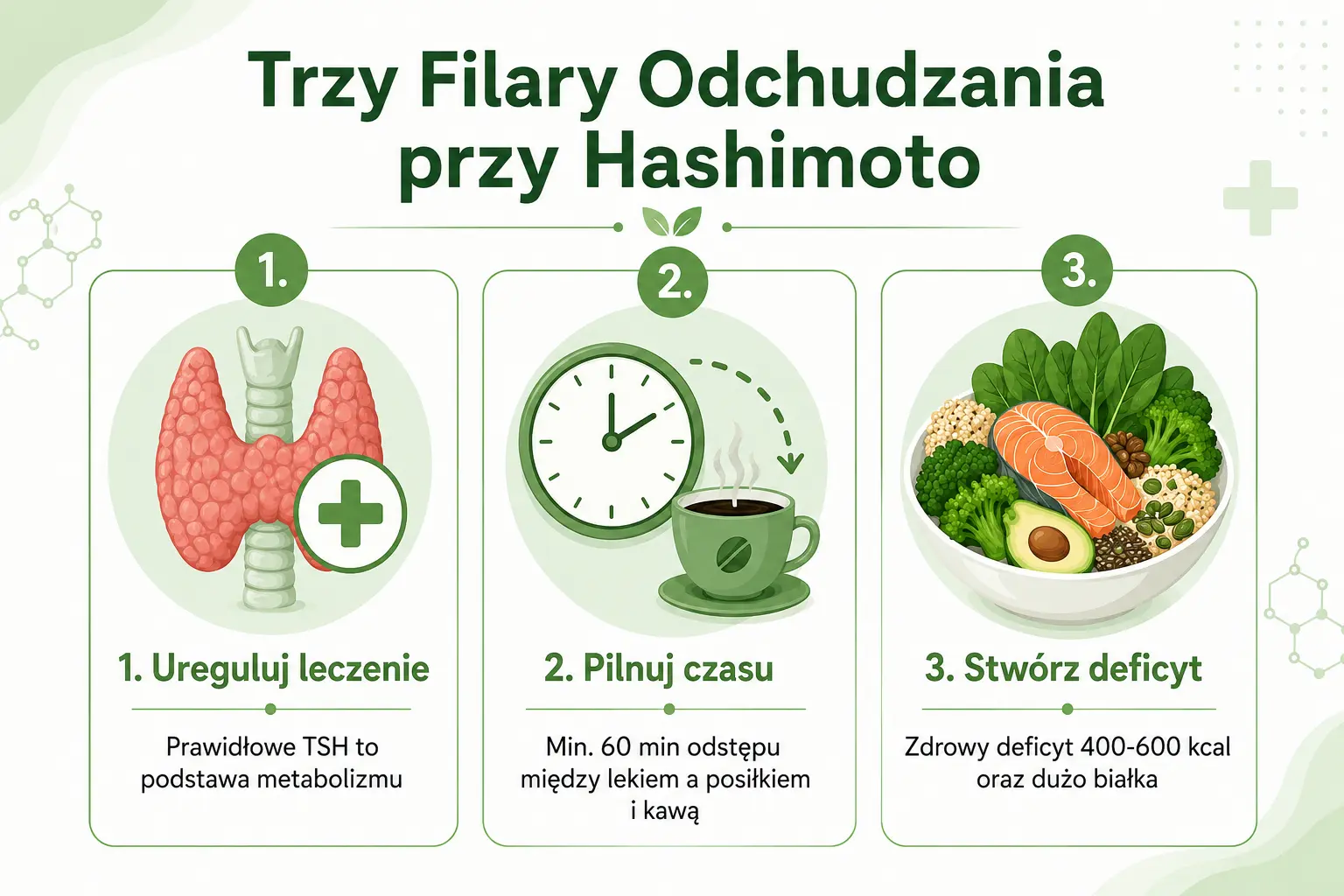 Infografika przedstawiająca trzy filary odchudzania przy Hashimoto: uregulowanie leczenia, zachowanie odstępu między lekiem a posiłkiem oraz zdrowy deficyt kaloryczny z dietą bogatą w białko.