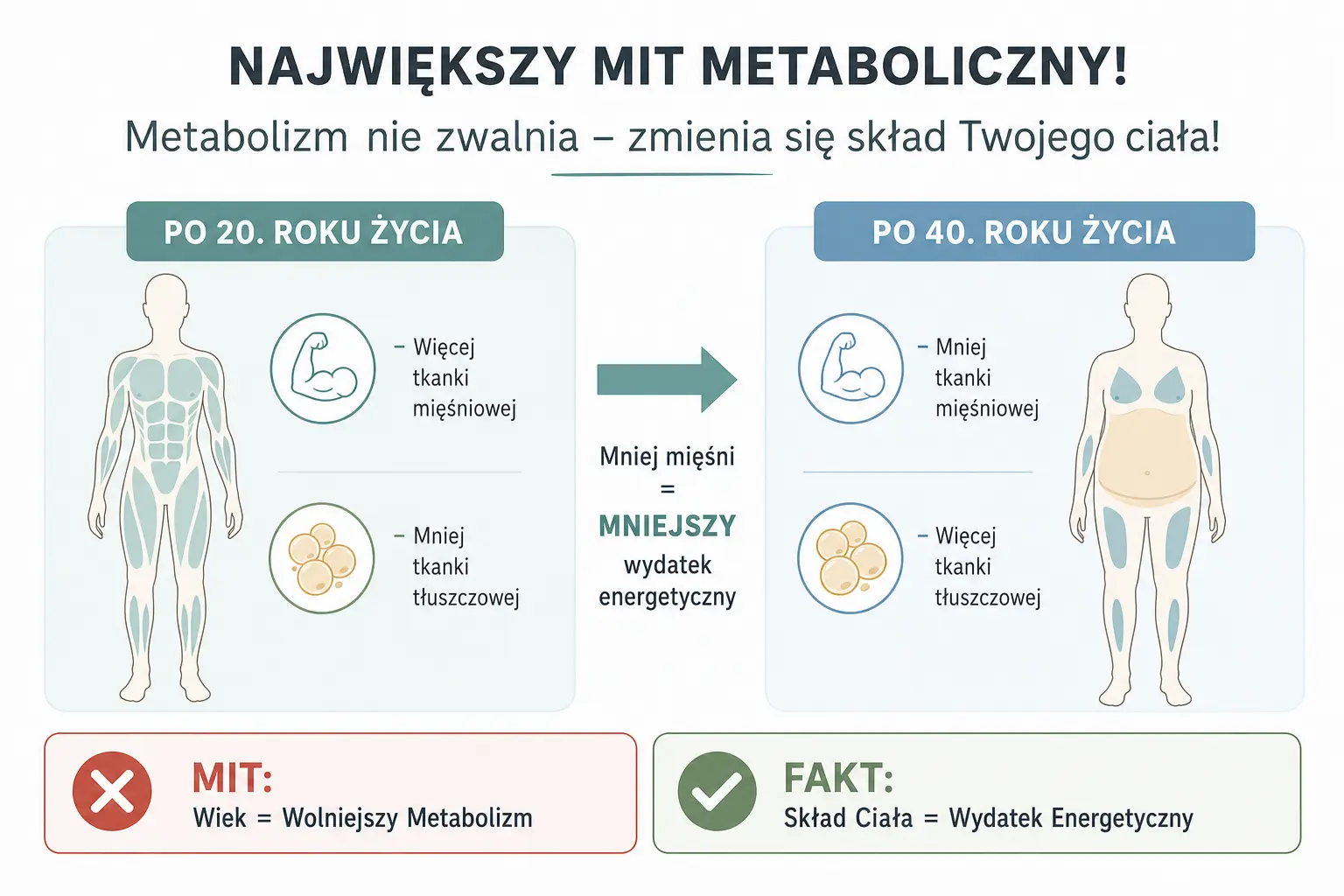 Infografika wyjaśniająca mit metaboliczny. Porównanie składu ciała osoby po 20. i po 40. roku życia pokazuje, że z wiekiem ubywa tkanki mięśniowej, a przybywa tłuszczowej, co obniża wydatek energetyczny, mimo że sam metabolizm nie zwalnia.