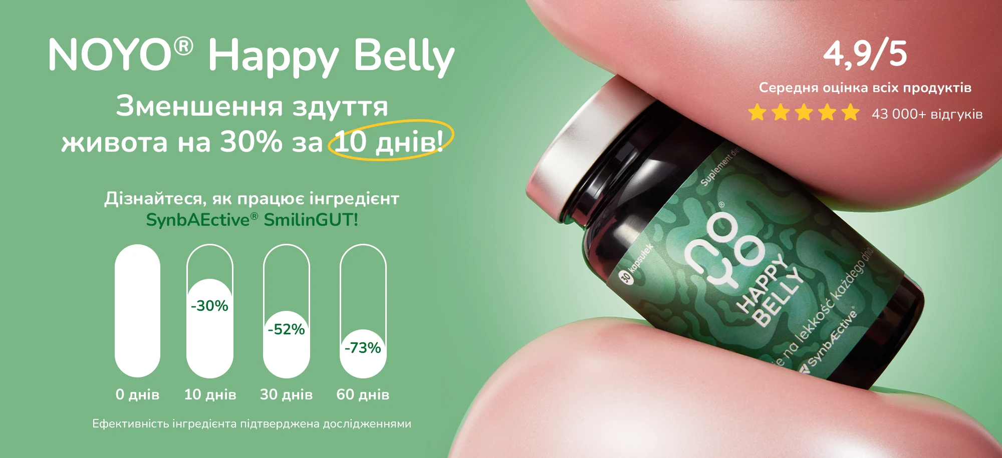 Belly UA